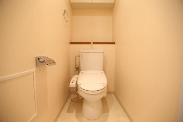 ビッグパレス南6条(トイレ)