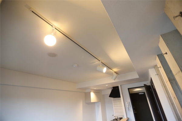 ビッグパレス中島公園(その他内観)