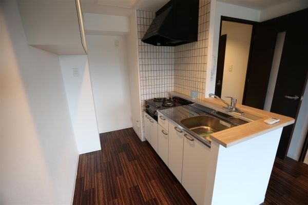 ビッグパレス中島公園(キッチン)