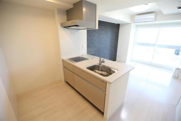 マストライフ南4条(キッチン)