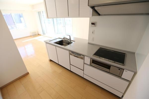 ダイアパレス円山北町