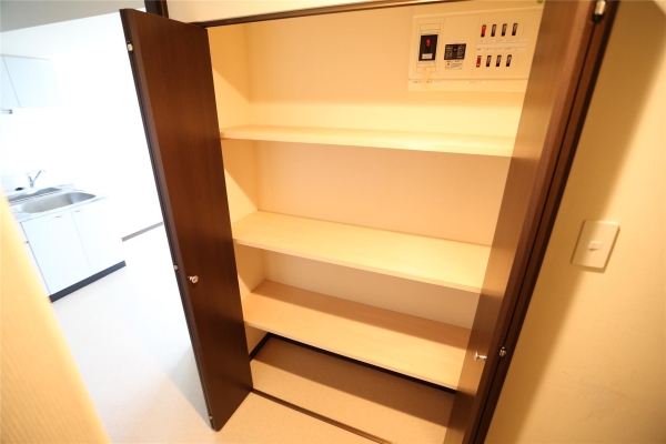 レジデンスカープ札幌(収納)
