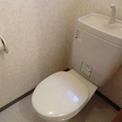 フロックス色内