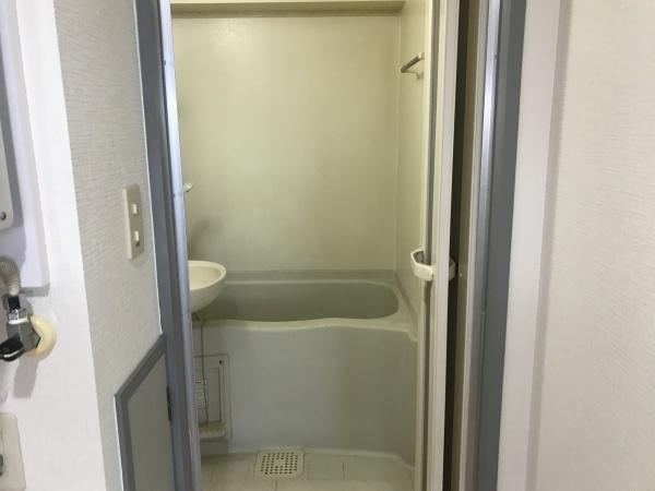 ステイコートチトセ