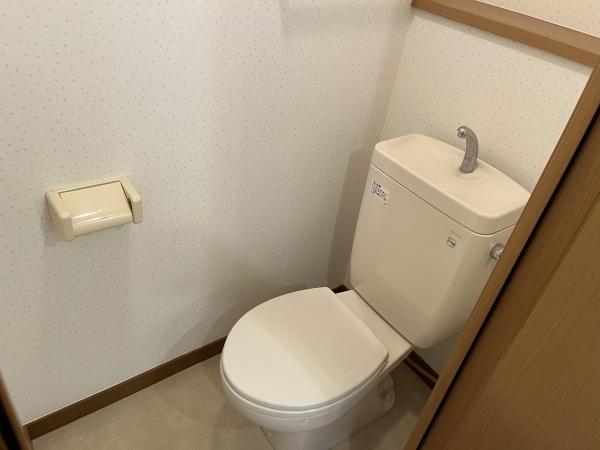 パインヒルズキリタ