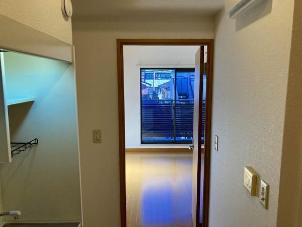 パインヒルズキリタ