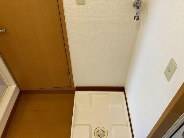 パインヒルズキリタ