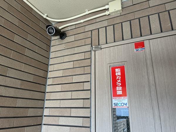 パインヒルズキリタ