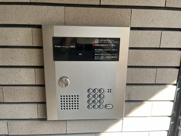 パインヒルズキリタ