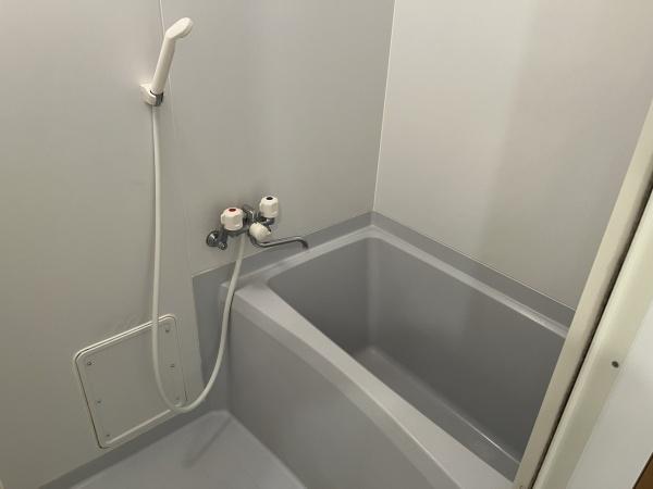 パインヒルズキリタ