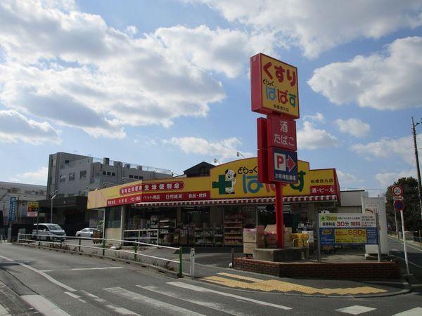 サンパレス徳丸第３(どらっぐぱぱす)