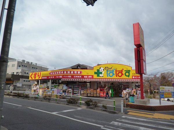 メイプルズ・ハイツ(どらっぐぱぱす板橋徳丸店)