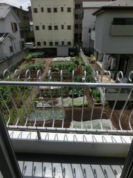 武蔵野サンハイツ朝霞