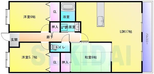 乙菊（OTOGIKU）