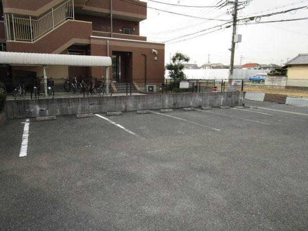 アムールKソロ