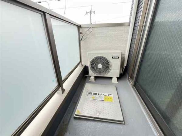Faeciaグロリア