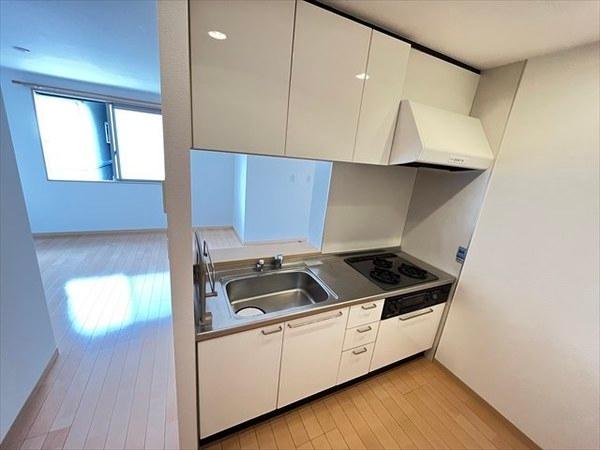 ヌーベル上之島A棟(キッチン)