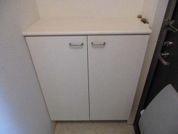 Ｎ-ＶＩＬＬＡＧＥゆなみ