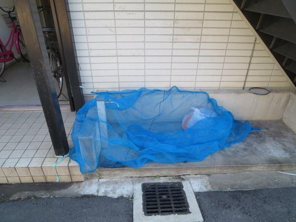 ホワイトハイツ