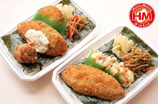 フォレストメゾン八尾(ほっともっと平野南店)