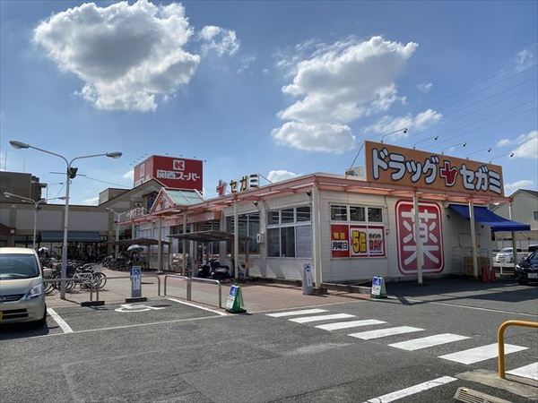 フジパレス河内山本ノース(ドラッグセガミ旭ヶ丘店)