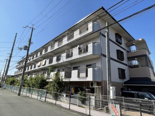 ガーデンフラットカメリア