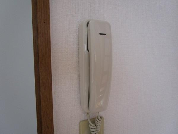 キティハウス