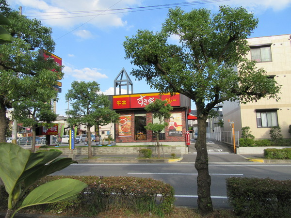 グリーンコート(すき家八尾南木の本店)