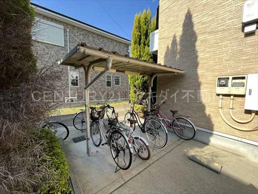 バウム　フェルド