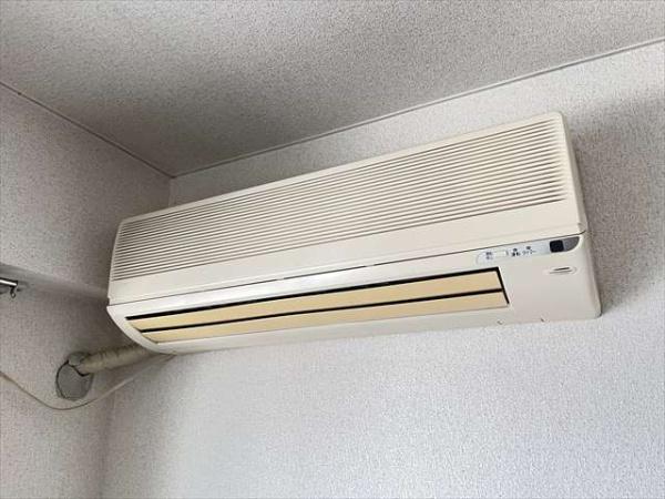 パール9
