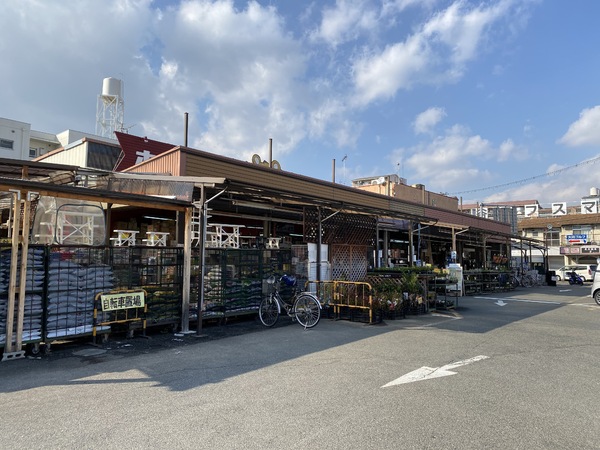 ピース山城(ホームセンタータイセー)