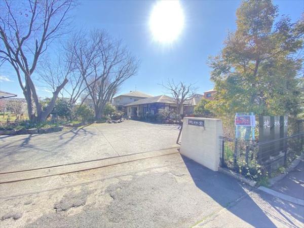 西川ハイツ(桃林堂)