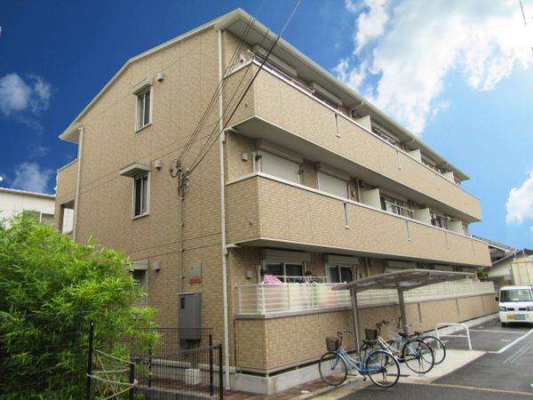 ステラ
