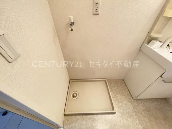 ステラ