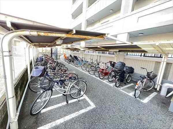 カトンテール