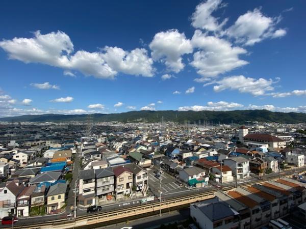 レックスプラザ八尾志紀