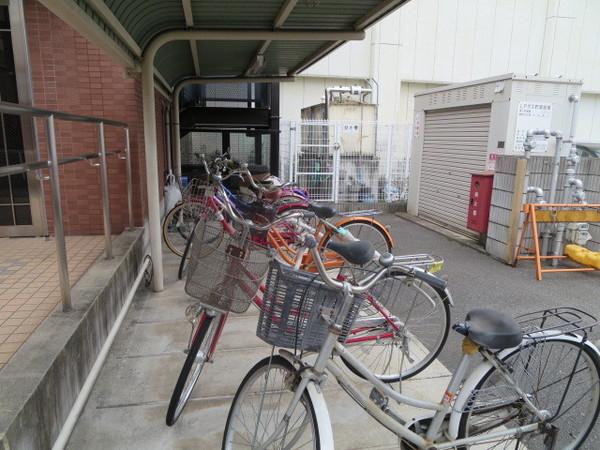 ティグリス枝川