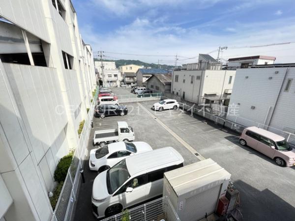 ティグリス枝川