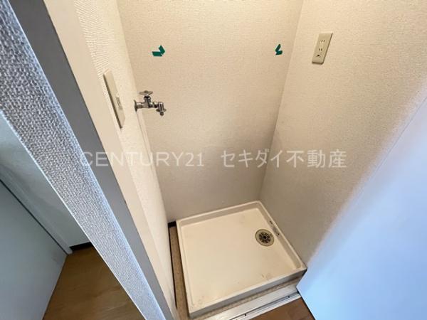 ティグリス枝川
