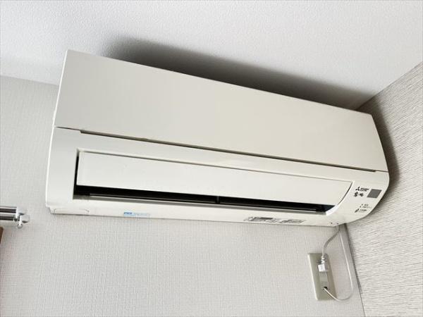 アムールレオ