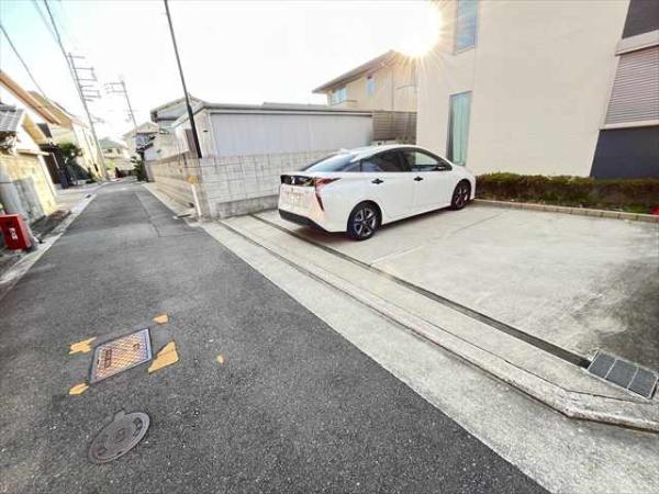 アムールレオ
