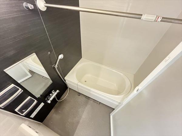 アムールレオ