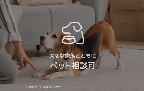 シャーメゾンケーツー