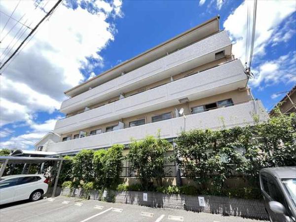 山本ワイズ