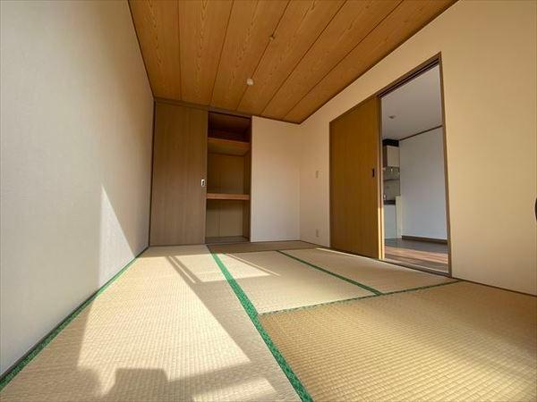 メゾンモチの木