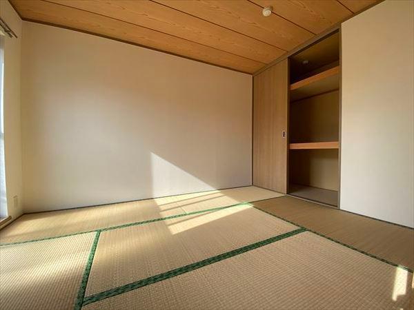 メゾンモチの木