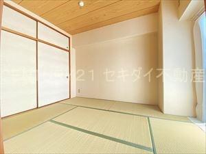 シャルマンシェソワ