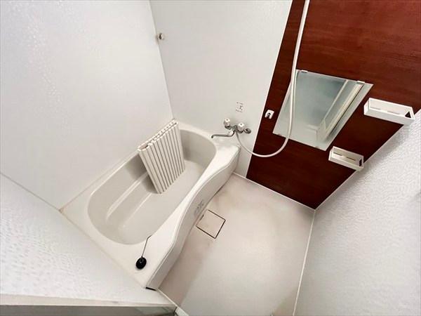 ステラ