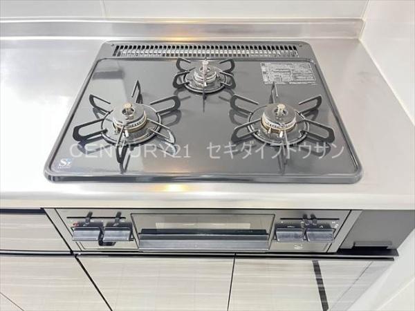 ヴィ―ブル衣摺