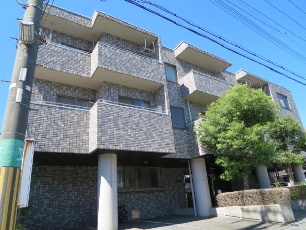 セルバ山本
